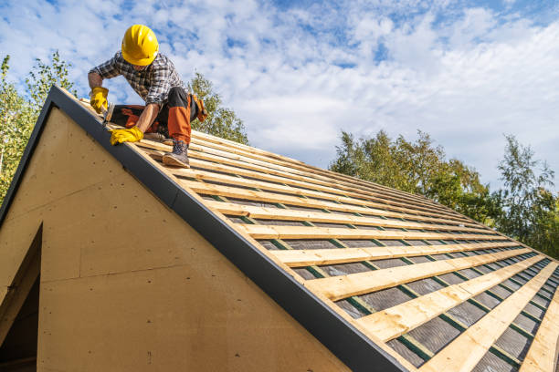 Roof Gutter Cleaning in Celina, OH